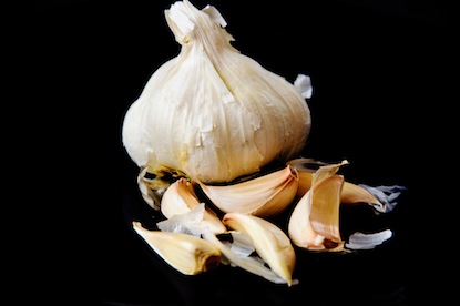 Head of Garlic