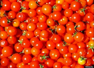 Lemon basil flavored cherry tomatoes