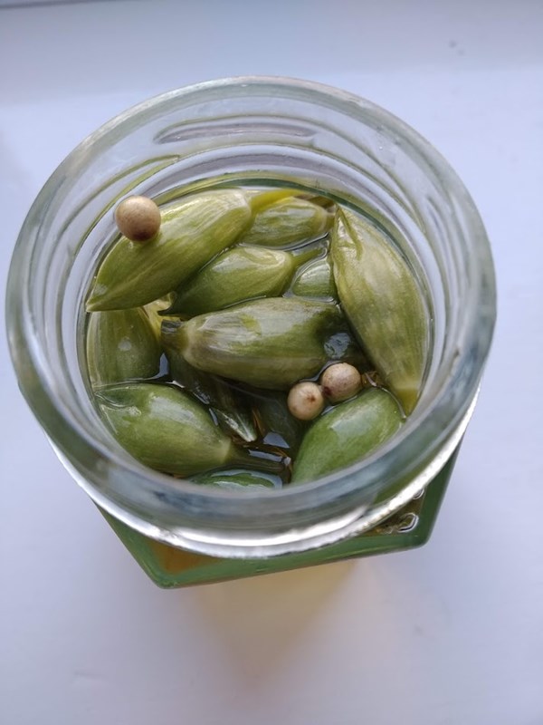 Photo added by <a href="/member/Foodycat">Foodycat</a>