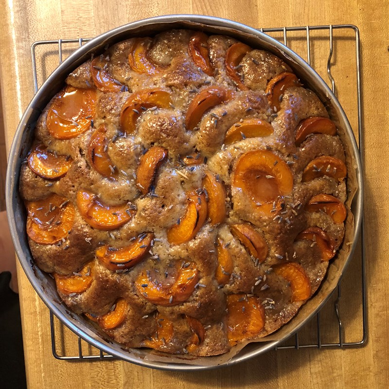 Photo added by <a href="/member/dinnermints">dinnermints</a>